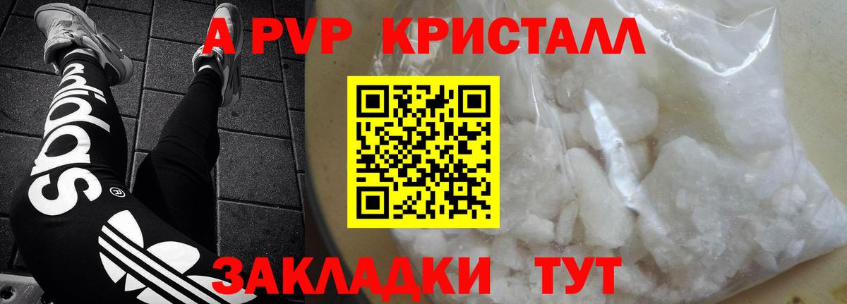 A-PVP СК Кондопога