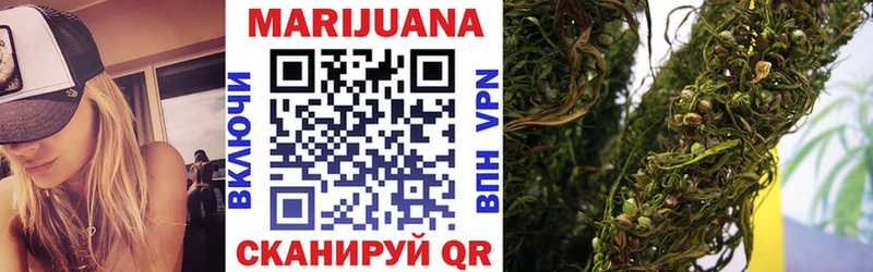 Купить где  Кондопога  Бошки Шишки OG Kush 
