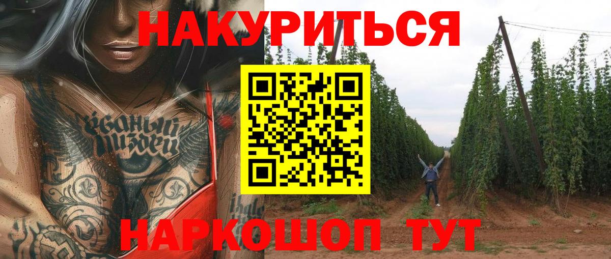 Бошки Шишки конопля  Конопля Amnesia  Конопля тримм  Вход с VPN  Кондопога 