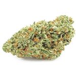 Шишки OG Kush  (Гидропоника, бошки) VHQ в Кондопоге